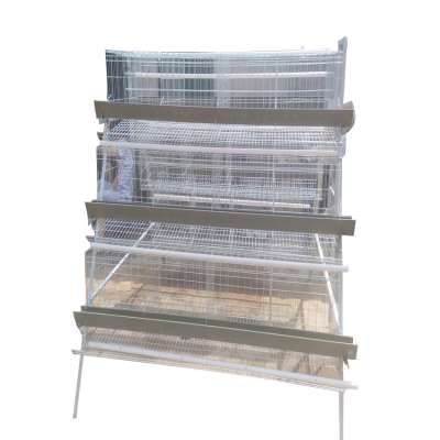 Design automatic layer chicken cages  for sale