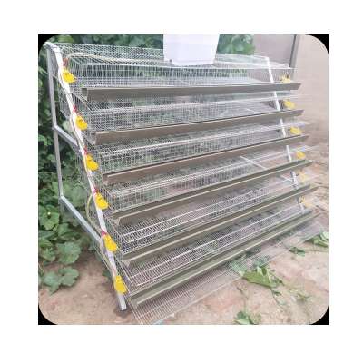 Galvanized Egg Laying Quail Cage with Water System