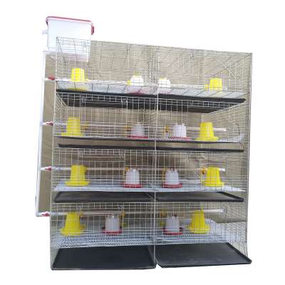 Poultry Layer Chicken Cages for Little Chick