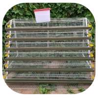 automatic water laying bird egg quail farm cage