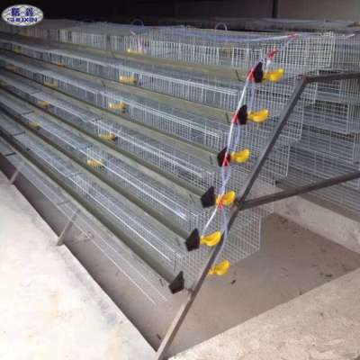 China Suppliers Automatic Drinker Layer Quail Cage for Quail Farming