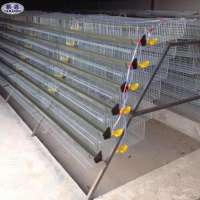 China Suppliers Automatic Drinker Layer Quail Cage for Quail Farming