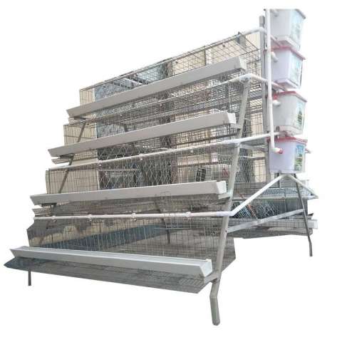 Automatic 3 Layer Chicken Cage for Poultry Farm